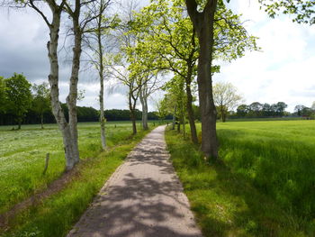 Road amidst trees on field against sky