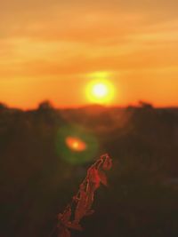 Scenic view of field against orange sky