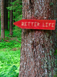 Close-up of text on tree trunk in forest