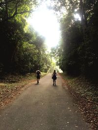 Rear view of people walking on road in forest