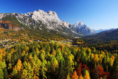 Scenic view of forest and mountains against clear sky