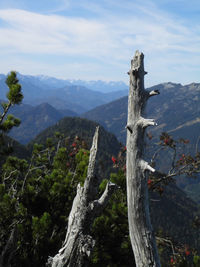 Scenic view of tree mountains against sky