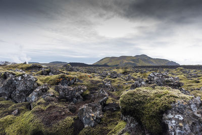 Panoramic view of landscape against sky