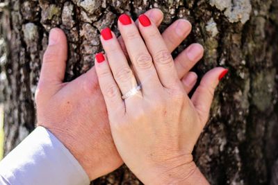 Close-up of woman hand on tree trunk