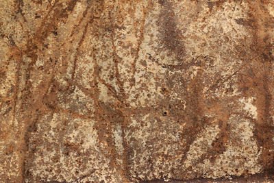Full frame shot of textured surface