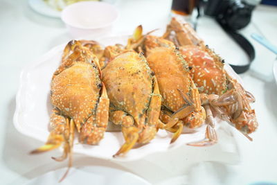 High angle view of fish in plate on table