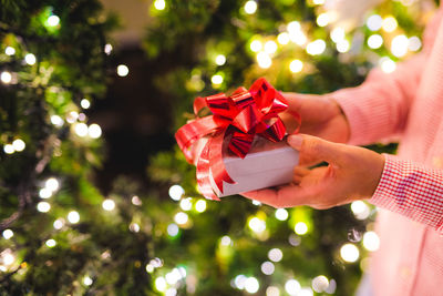 Midsection of person holding christmas tree