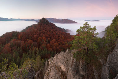 wilderness