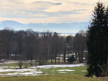 Trees on field against sky during winter