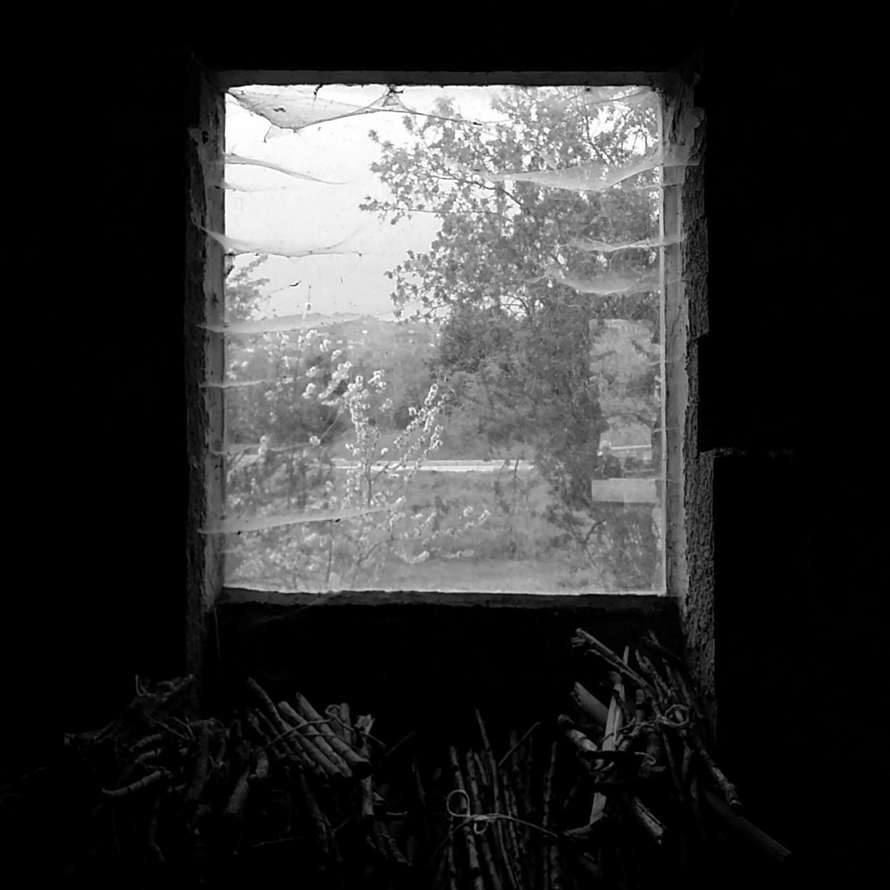 window, indoors, abandoned, house, glass - material, home interior, obsolete, damaged, transparent, built structure, architecture, curtain, wall - building feature, day, no people, absence, plant, old, open, broken
