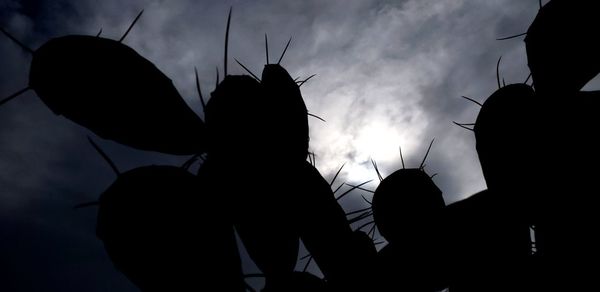 Low angle view of silhouette people against sky at sunset