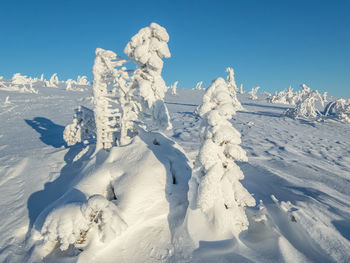 Snow covered built structure against blue sky
