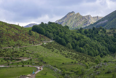 Scenic view of landscape against sky