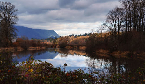Scenic view of lake by trees against sky