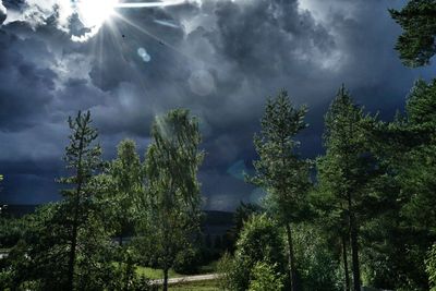 Scenic view of trees against cloudy sky