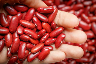 Cropped hand holding red kidney beans