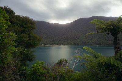 Scenic view of lake and mountains against sky