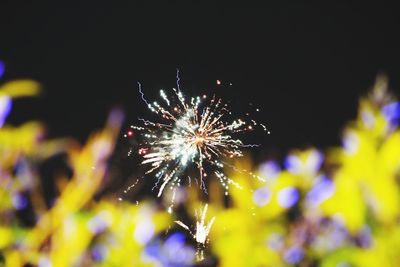 Low angle view of firework display at night