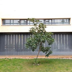 View of built structure