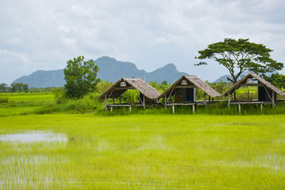 House on field against sky