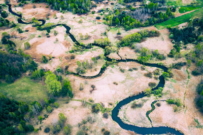 High angle view of tree by river