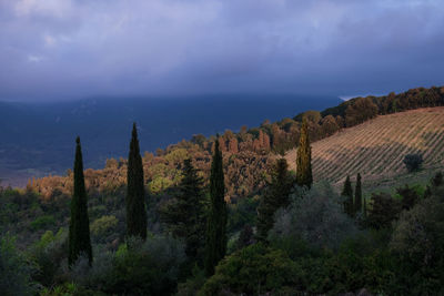 Panoramic view of landscape against sky