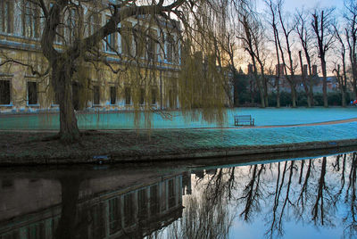 Reflection of bare trees in swimming pool