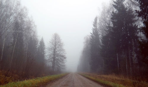 Road amidst trees against sky