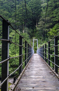 Footbridge against trees in forest