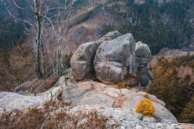 View of rock formation in forest