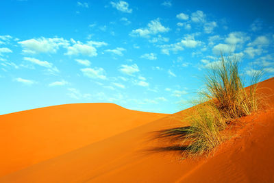 Low angle view of desert against blue sky