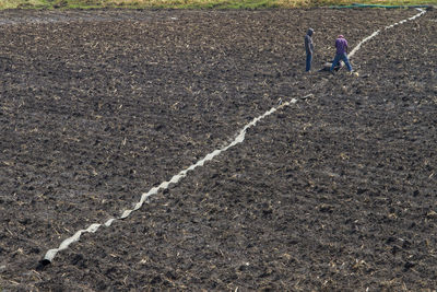 Farmers standing on agricultural field