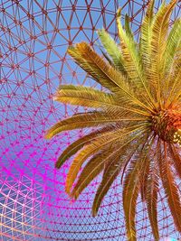 Low angle view of palm tree against sky