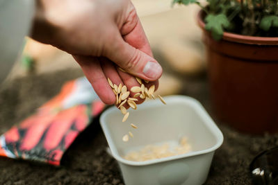 Midsection of woman holding plant