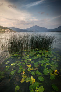 Scenic view of lake against sky during sunset