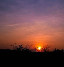 Silhouette plants against sky during sunset