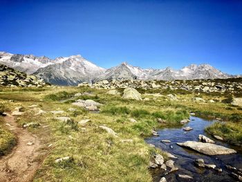 Scenic view of landscape against clear blue sky