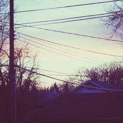 Low angle view of trees against sky