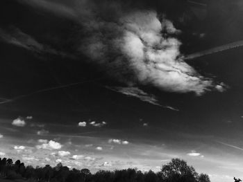 Low angle view of trees against sky