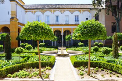 Fountain in garden against building