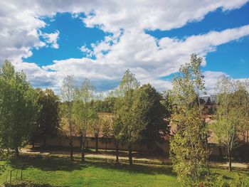 Scenic view of grassy field against cloudy sky