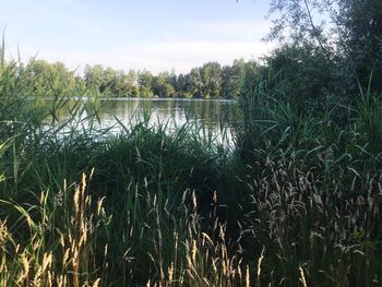 Scenic view of lake against sky