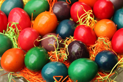 High angle view of tomatoes