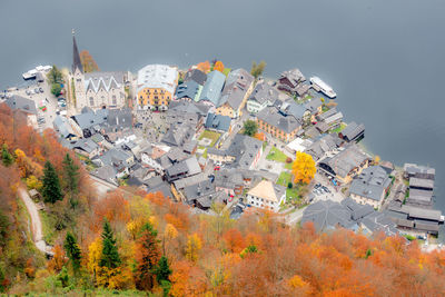 High angle view of tree and buildings in city