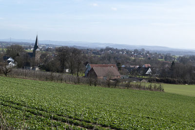 Scenic view of agricultural field by buildings against sky