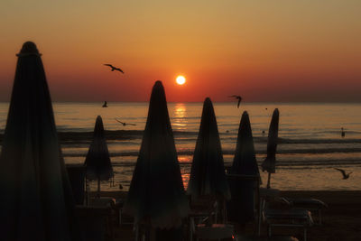 Silhouette of birds flying over sea during sunset