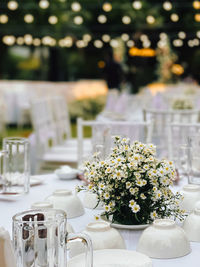 Close-up of potted plant on table