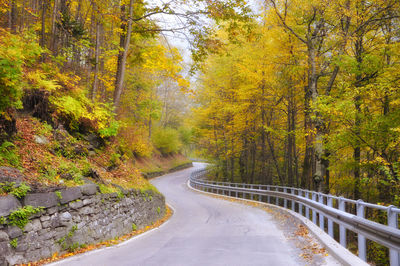 Road amidst trees in forest during autumn