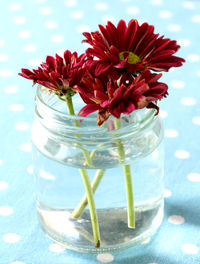 Close-up of red flower in jar on table