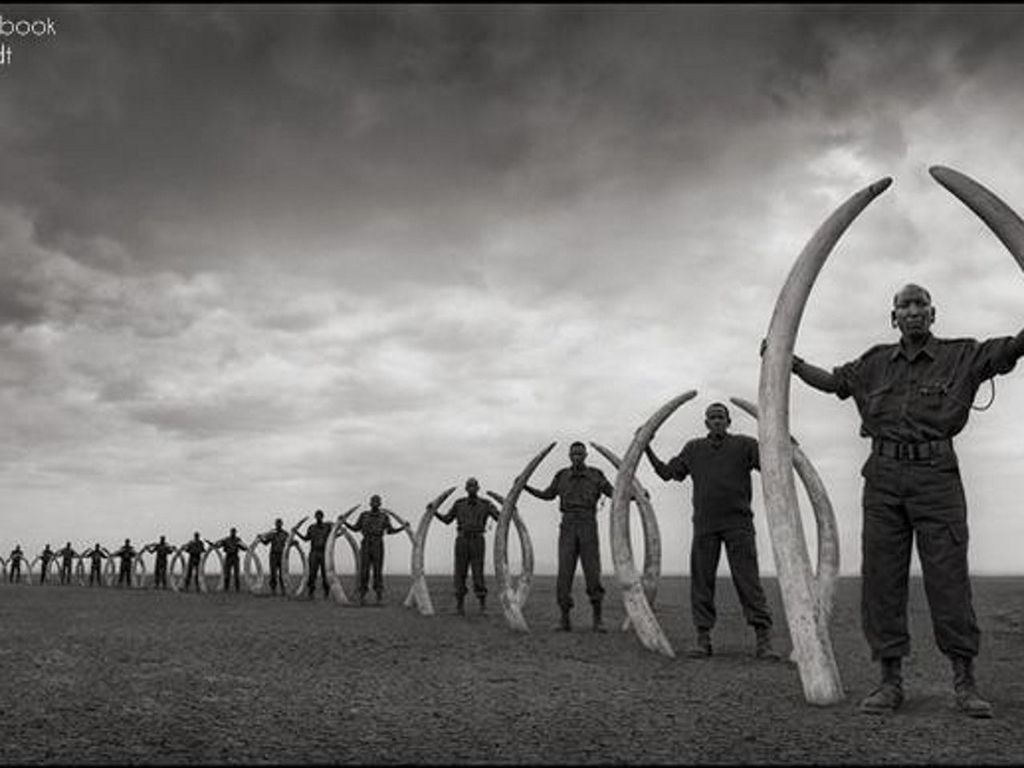 sky, lifestyles, leisure activity, men, cloud - sky, full length, standing, person, walking, cloudy, casual clothing, cloud, beach, togetherness, rear view, boys, day, built structure